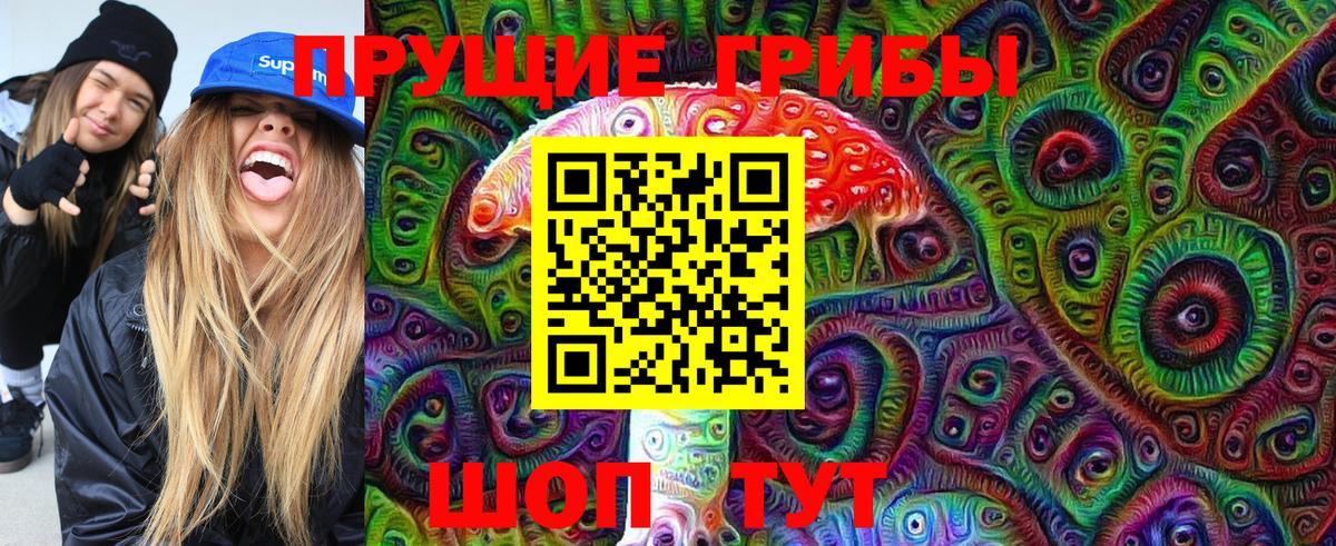 Галлюциногенные грибы Psilocybe Коммунар